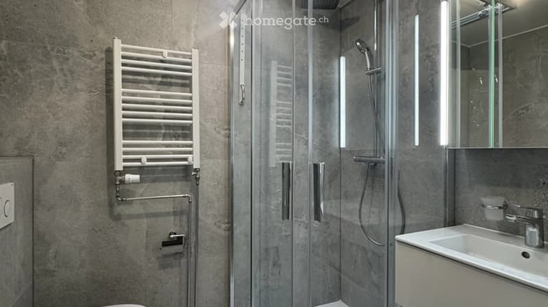 Modern bathroom with a glass-enclosed shower, a white radiator, a sink with a modern faucet, and a large mirror above the sink.