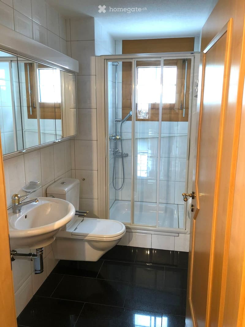 Modern bathroom with a white sink, toilet, and glass-enclosed shower. Features black tiled flooring and a large mirror above the sink.