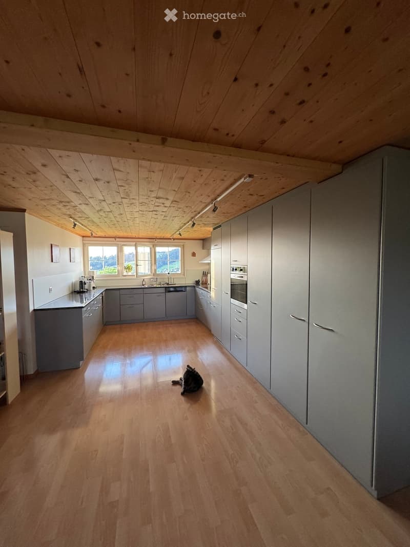 Modern kitchen with light grey cabinets, wooden flooring, and stainless steel appliances. A small black cat is lying on the floor near the center.