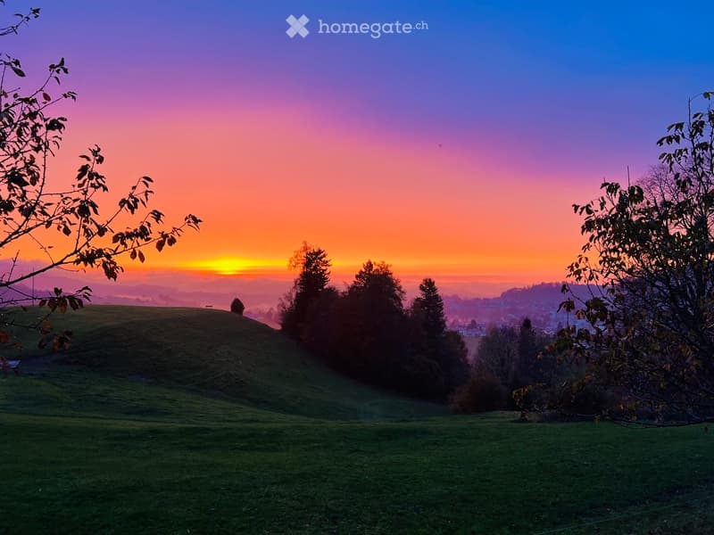 A serene outdoor scene featuring a grassy hill under a vibrant sunset sky with hues of pink, purple, and orange. The foreground includes sparse trees and a distant view of a town or village nestled in the valley.