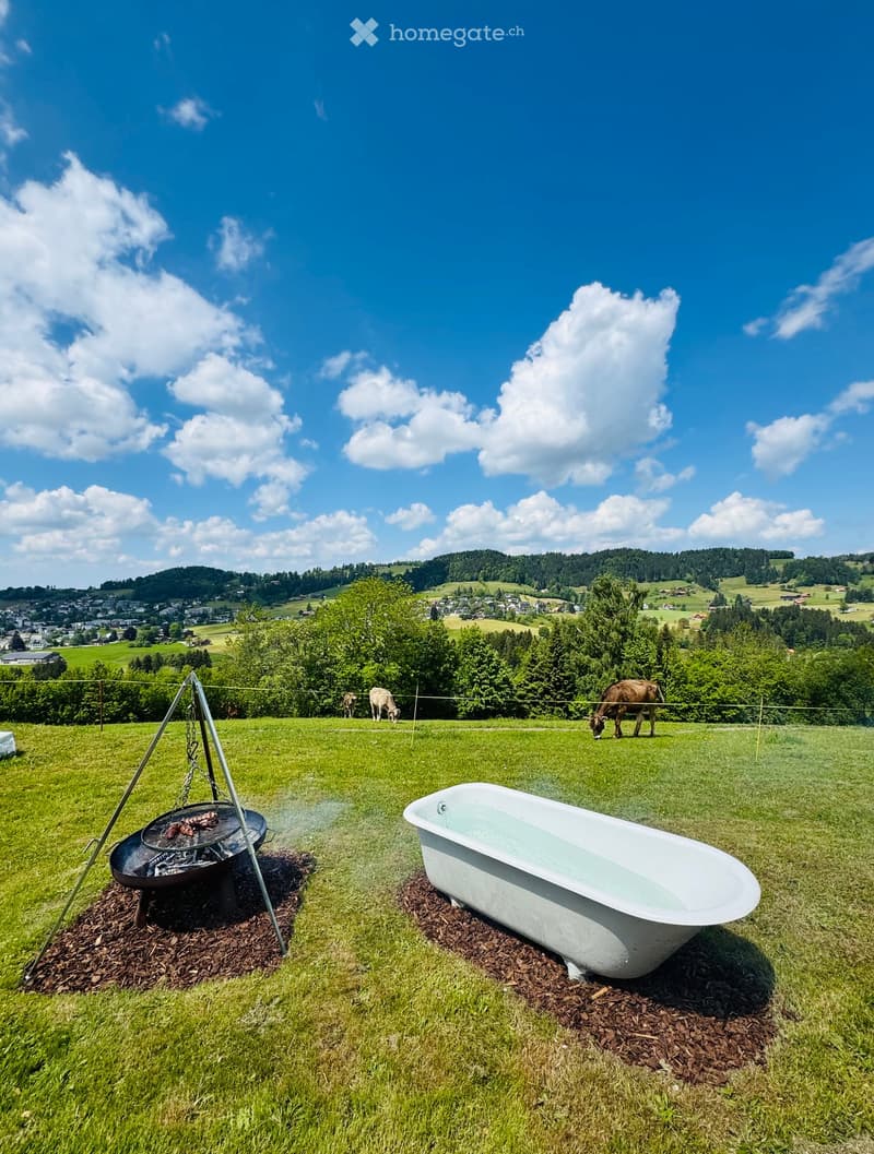 Outdoor area with a bathtub filled with water and a grill on a wooden base, surrounded by a grassy field with cows grazing in the background.