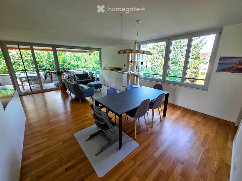Open-plan living and dining area with wooden flooring, large windows, a sofa, dining table with chairs, cat tree, and potted plant.