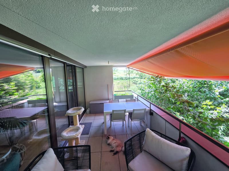 Balcony with a cat, cat tree, sofa, table, and chairs, overlooking a lush garden.