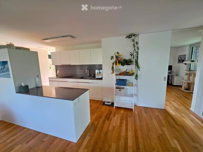 Modern kitchen with light-colored cabinets, a central island, and a sink area. Includes a cat tree, shelves with plants and items, and a small workspace area.