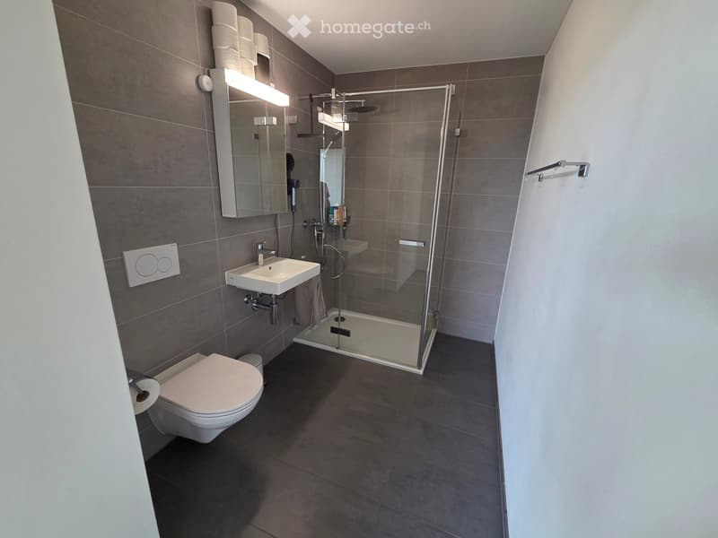 Modern bathroom with dark grey tiles, a white toilet, a sink with a mirror, and a glass-enclosed shower area.