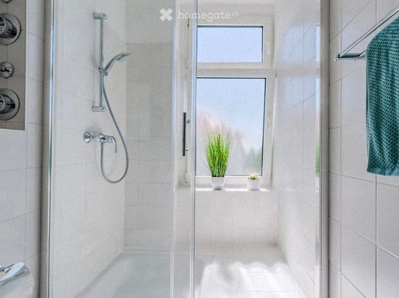 Modern bathroom with a glass-enclosed shower, chrome fixtures, and a small window with a plant on the sill.
