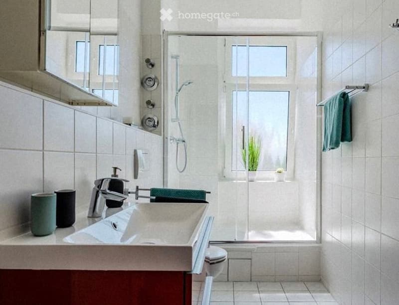 Modern bathroom with white tiles, a large mirror, a sink with a modern faucet, a shower area with a glass door, and a small potted plant on the windowsill.