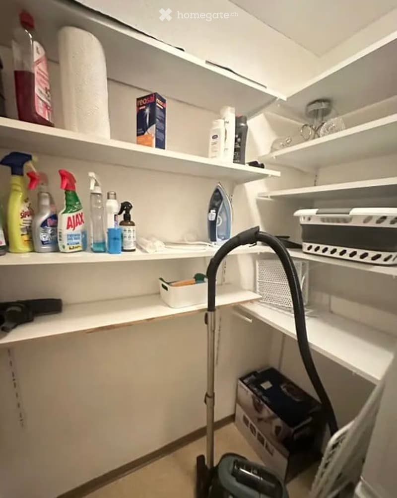A well-organized utility closet with shelves stocked with cleaning supplies, an ironing board, iron, and a vacuum cleaner on the floor.