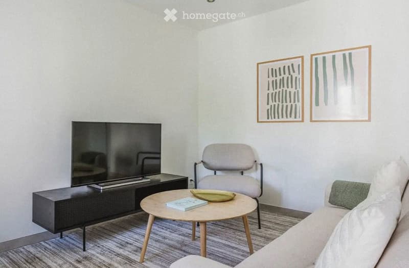 Modern living room with a grey sofa, wooden coffee table, armchair, TV stand, and two picture frames on the wall.