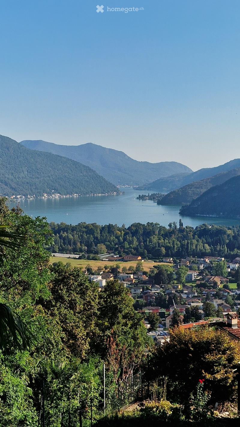 A scenic view of a town nestled in a valley, surrounded by lush green trees and mountains, with a calm lake in the background.