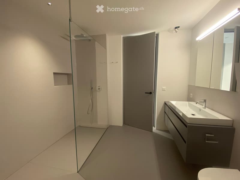Modern bathroom with a glass-enclosed shower, a white sink with a modern faucet, a built-in cabinet, and a large mirror with integrated lighting.