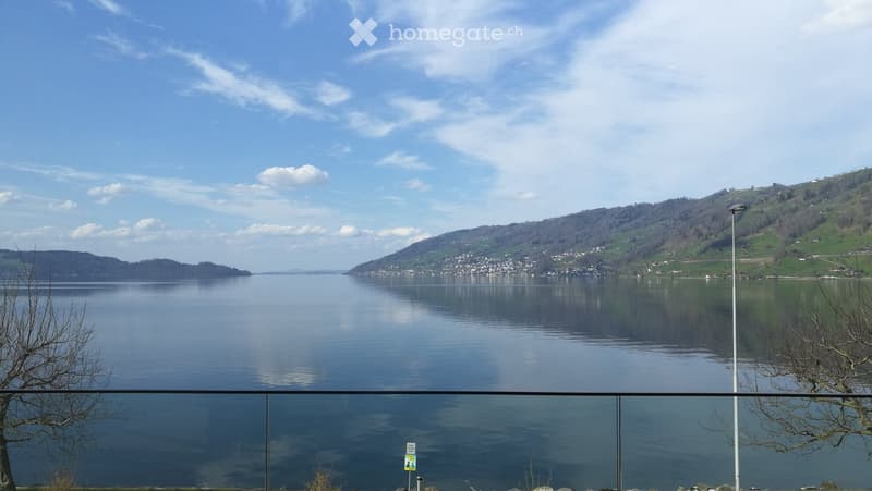 View of a serene lake surrounded by green hills and scattered houses, with a clear blue sky and a modern glass railing in the foreground.