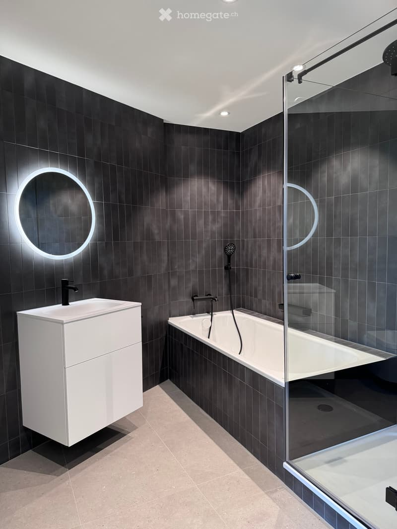 Modern bathroom with dark tiled walls, a white sink, a bathtub, and a glass-enclosed shower area.