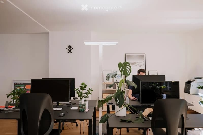 Modern office space with desks, chairs, computer monitors, keyboards, mice, potted plants, and framed artwork on the walls.