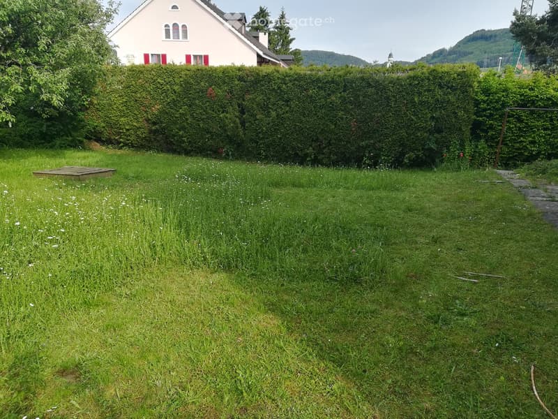 Lush green garden with a neatly trimmed hedge, a wooden platform, and a house with red shutters in the background.