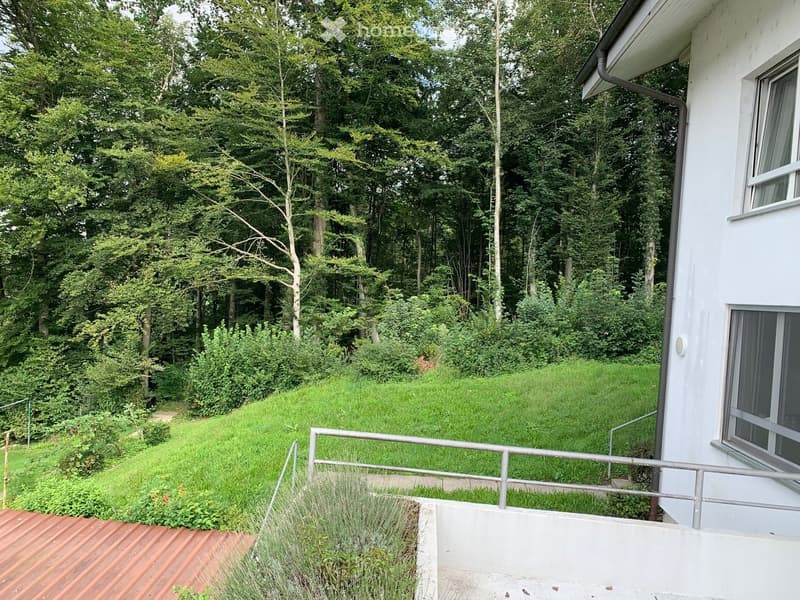 A raised garden area with a wooden deck, metal railing, and lush greenery, including tall trees and shrubs, adjacent to a white building.