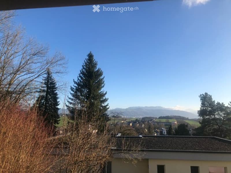 View from a balcony or terrace showing a clear blue sky, distant mountains, and surrounding trees and houses.