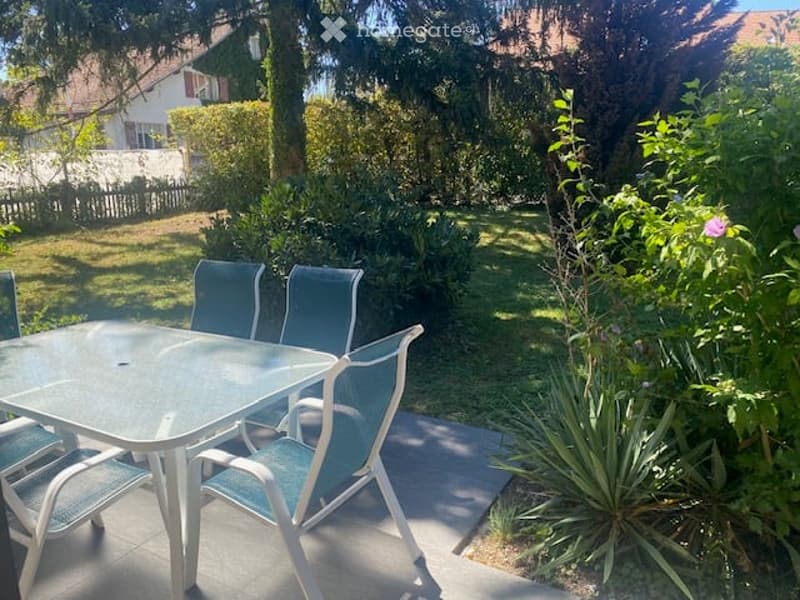 A sunny outdoor patio with a glass table and four blue chairs, surrounded by lush greenery and trees.
