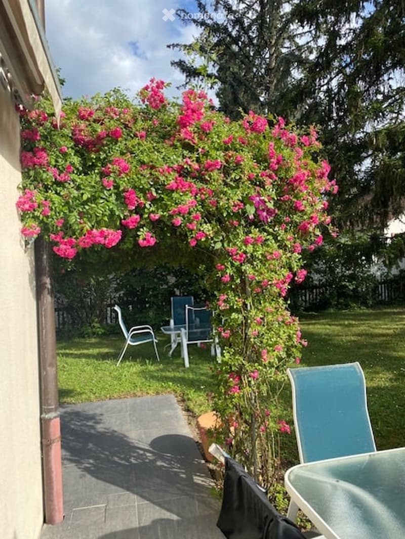 A garden area with a pergola covered in pink flowers, featuring outdoor chairs and a small table.