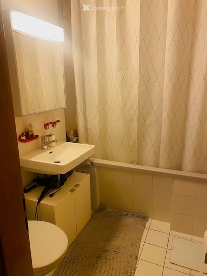 Compact bathroom with a white sink, mirror, toilet, and shower curtain. Includes a small cabinet under the sink and a hair dryer on top.