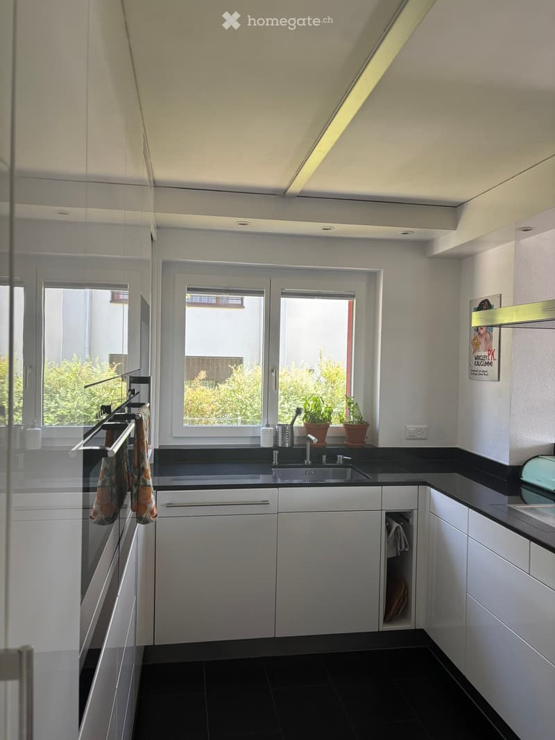 Modern kitchen with white cabinets, black countertops, and a stainless steel sink. Features include a window with a view of greenery, a towel hanging on a rack, and small potted plants on the windowsill.