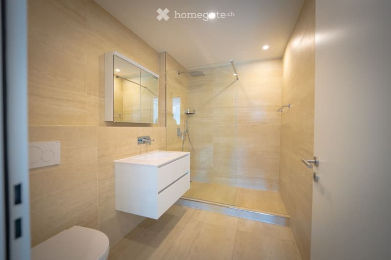 Modern bathroom with light-colored tiles, a white sink with a built-in cabinet, a large mirror, a glass-enclosed shower, and a toilet.