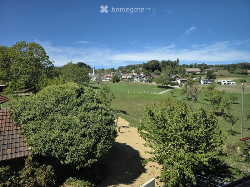 A peaceful rural landscape with green fields, scattered trees, and distant houses under a clear blue sky.