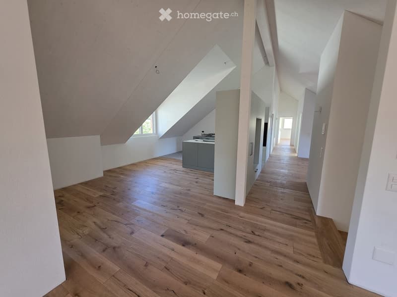 Bright, modern hallway with wooden flooring, white walls, and a slanted ceiling with skylight windows. Features a grey cabinet and a small kitchen area visible at the end.