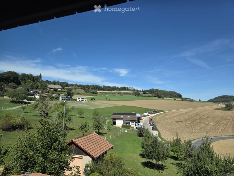 A scenic rural landscape with green fields, scattered houses, and a clear blue sky.