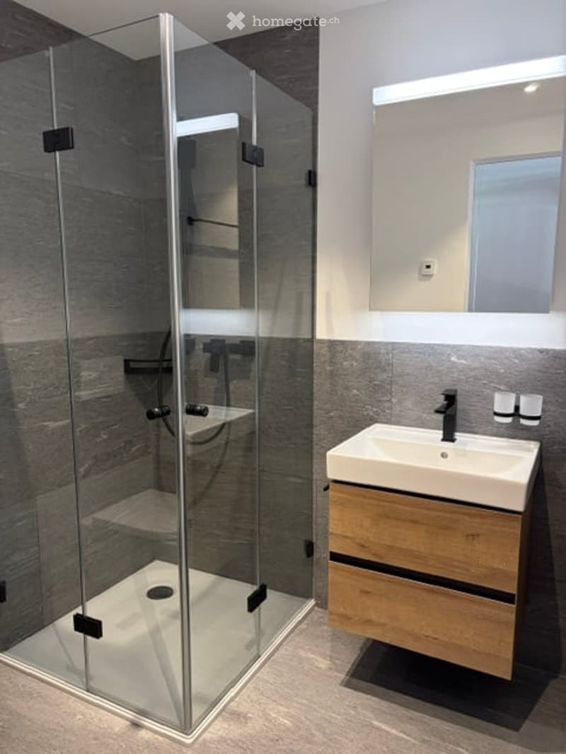 Modern bathroom with a glass shower enclosure, a white sink with wooden cabinet, and a large mirror above the sink.