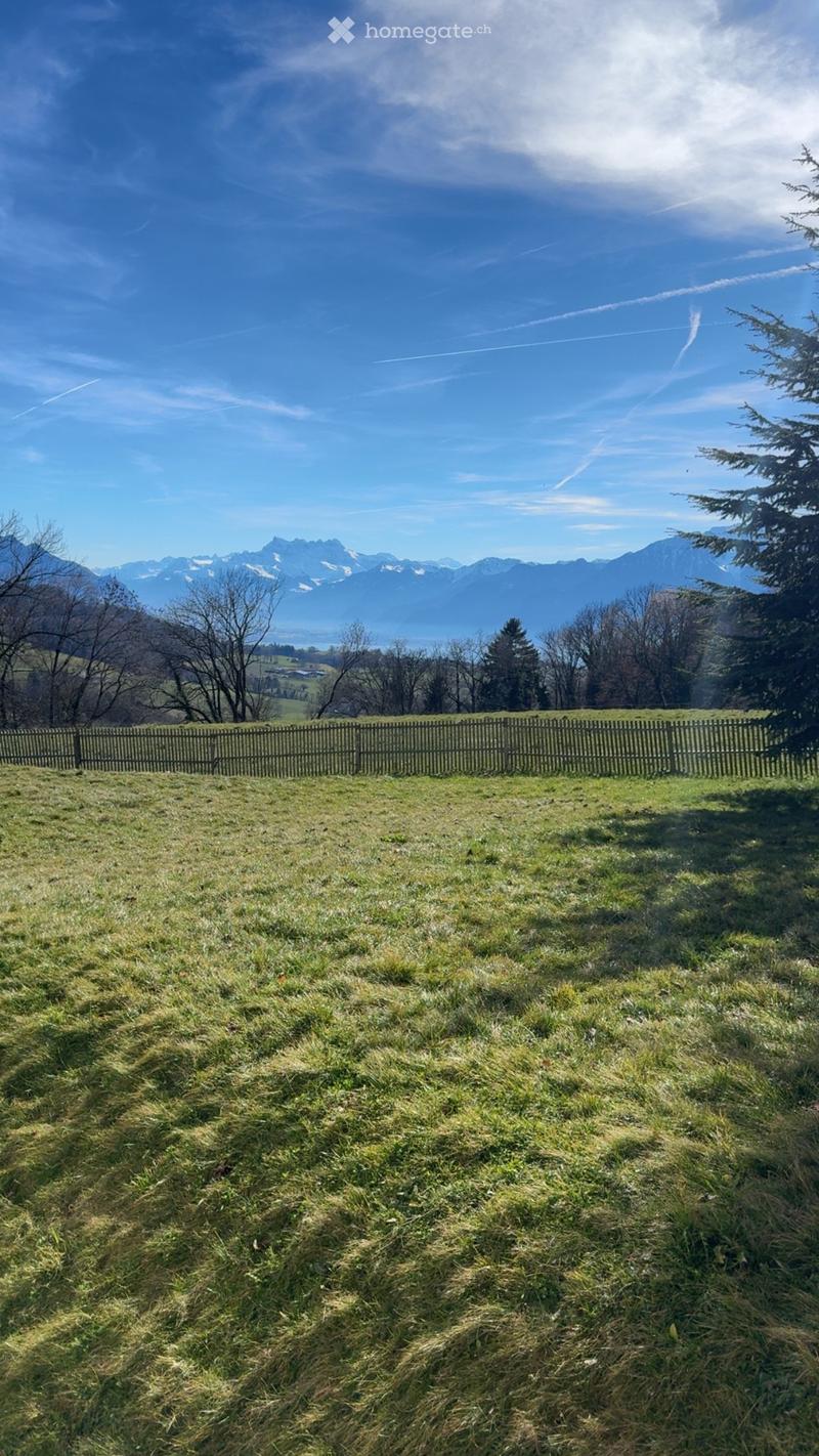 A grassy field bordered by a wooden fence, with trees and distant mountains visible under a clear blue sky.