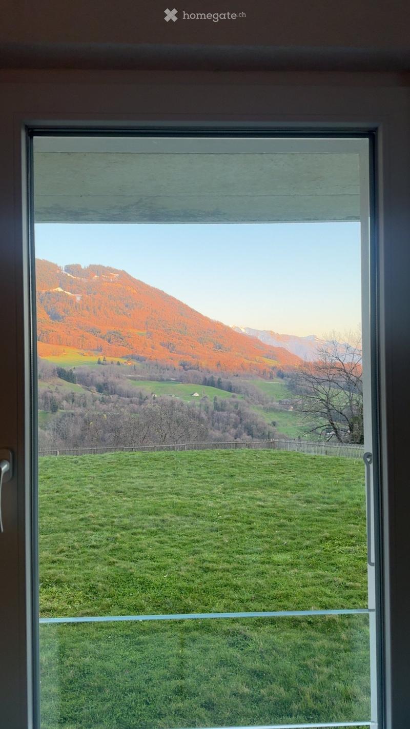 Window view of a green field and distant mountains with autumn-colored trees.