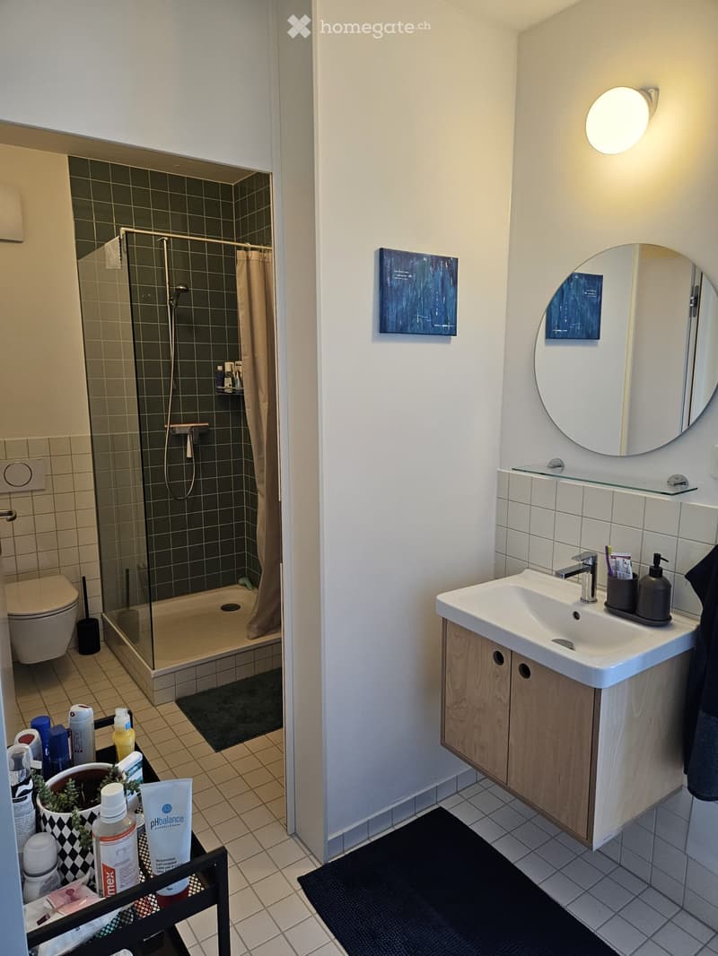 Modern bathroom with a glass-enclosed shower, toilet, sink with wooden cabinet, round mirror, and decorative plant on a small table.