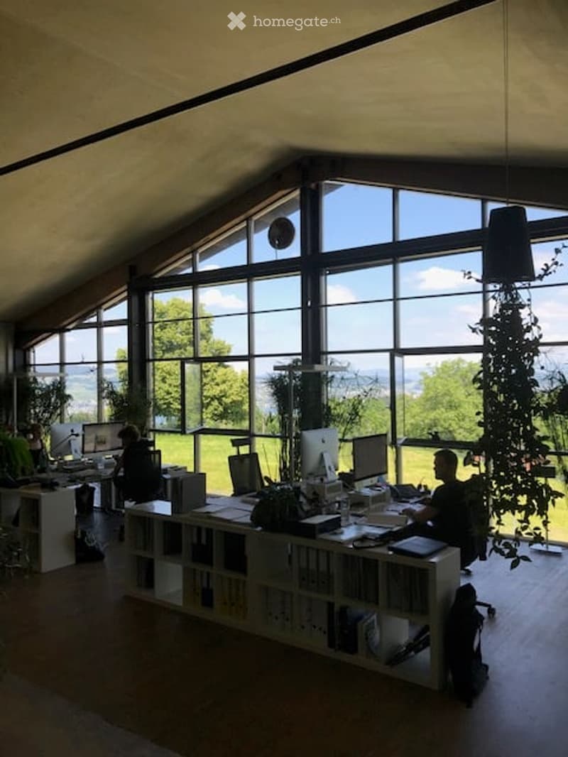 Bright, modern office space with large windows, wooden flooring, desks, chairs, laptops, and a bookshelf with books and plants.