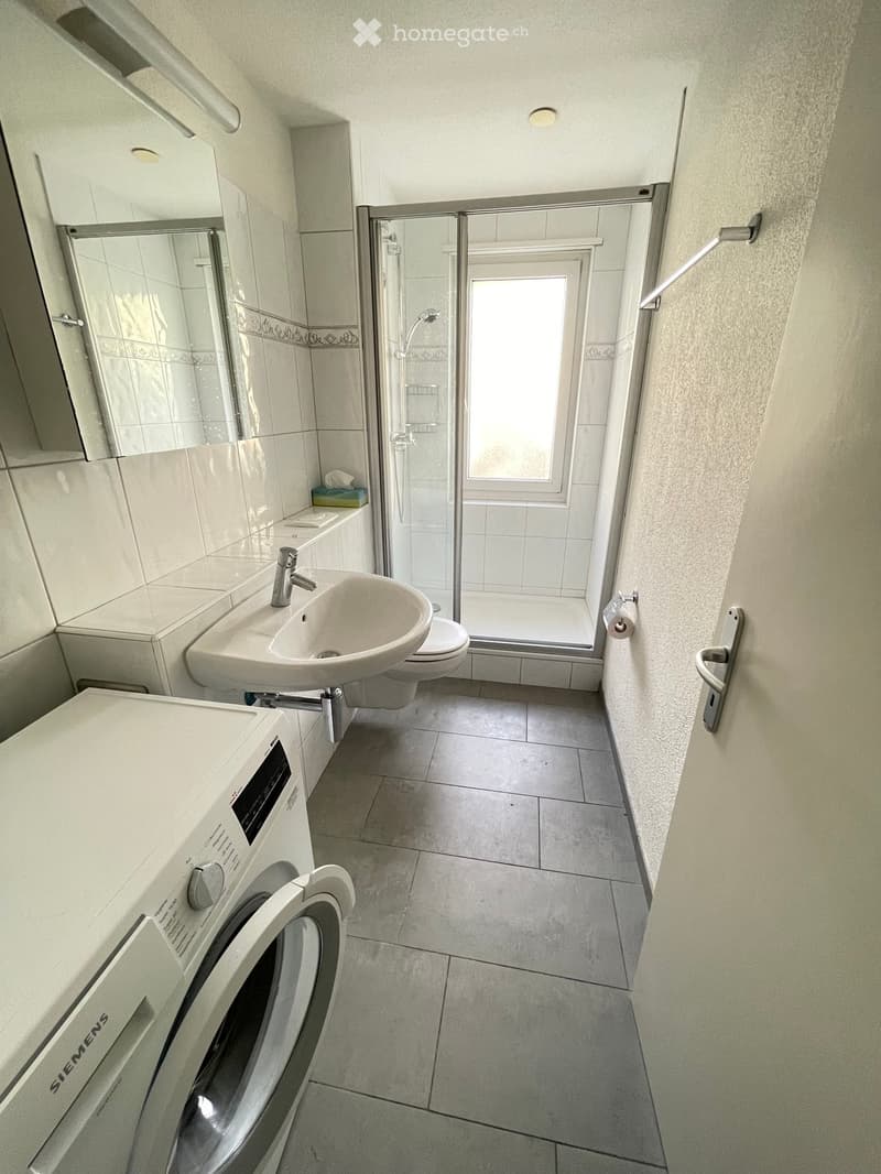Modern bathroom with a sink, toilet, shower, and a Siemens washing machine. Features tiled walls and floor, a large window, and a mirror above the sink.