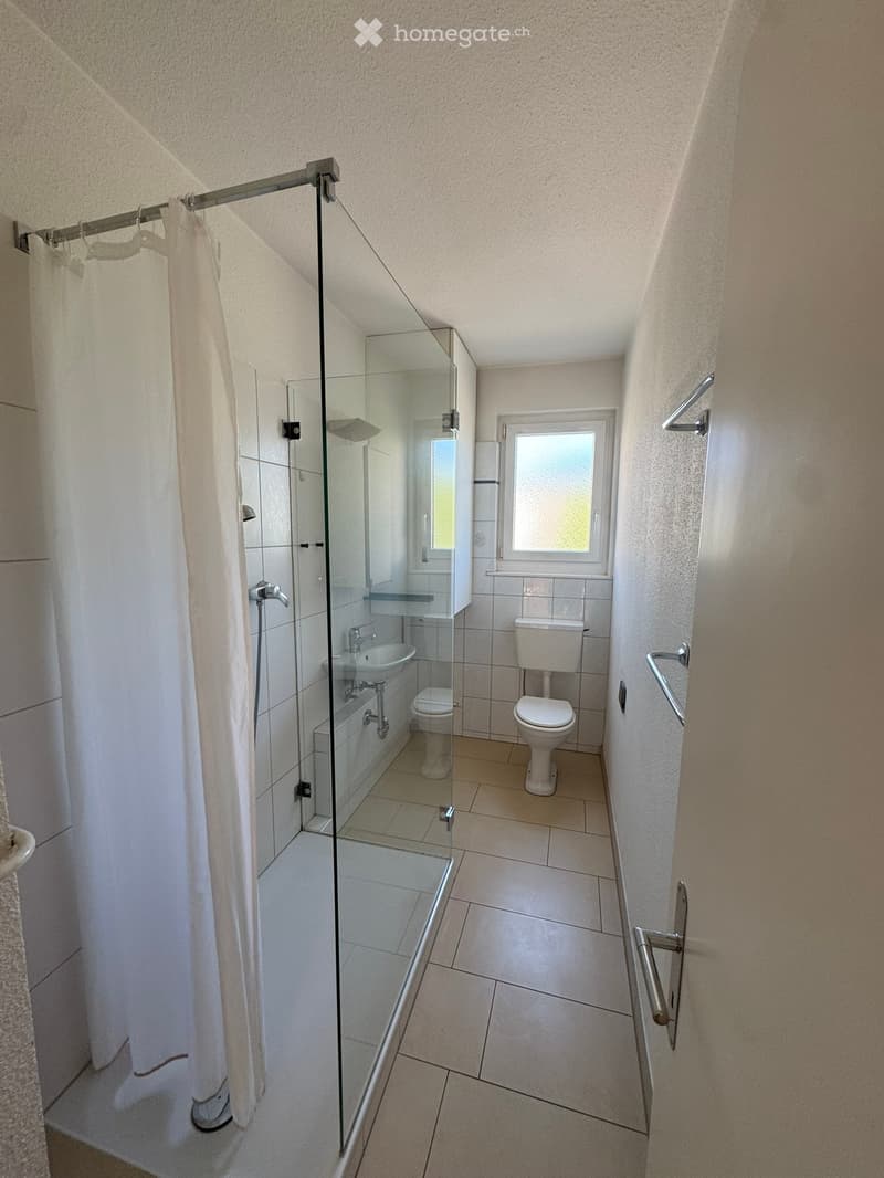 Modern bathroom with a glass-enclosed shower, toilet, sink, and bathtub. Features tiled walls and floor, a window, and a shower curtain.