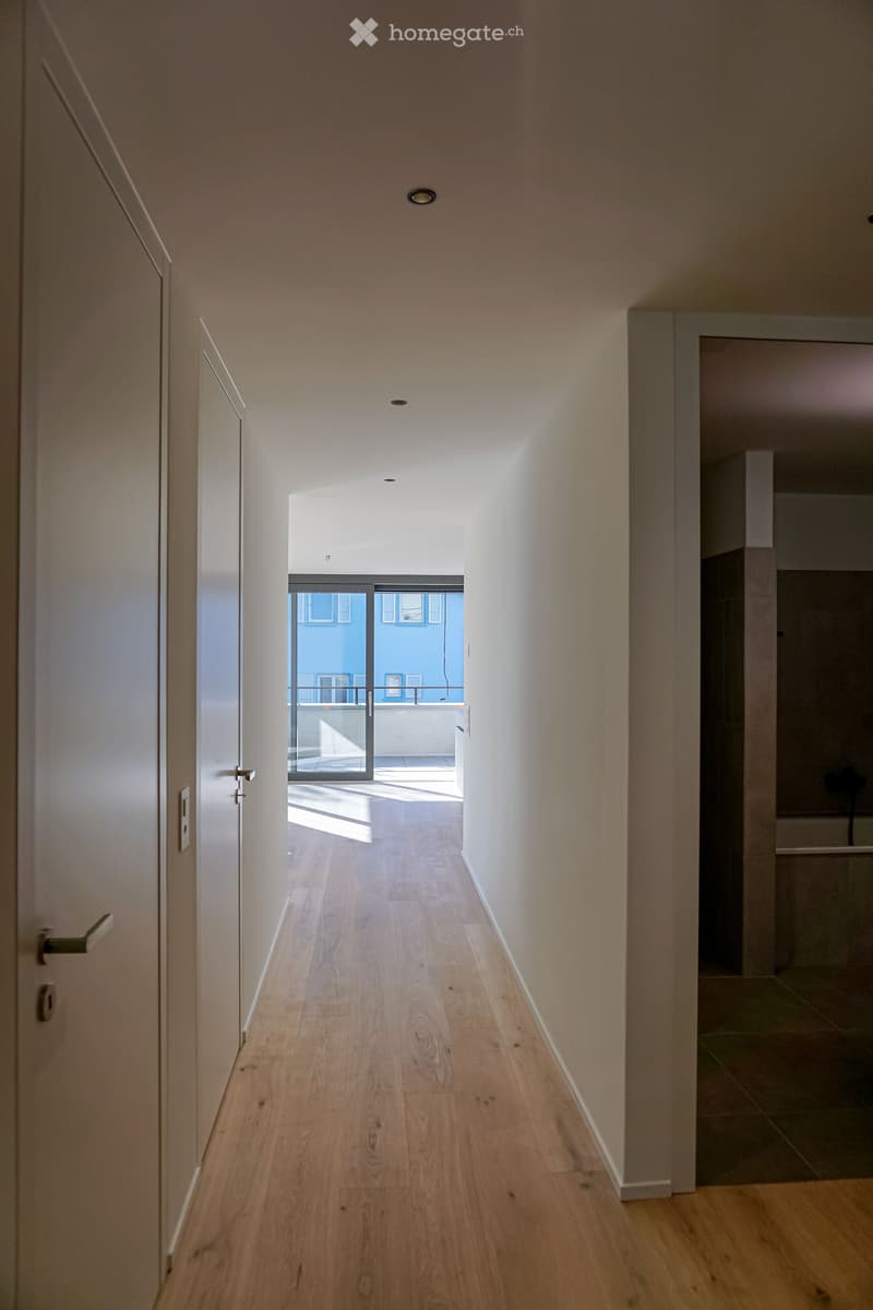 A modern, minimalist hallway with light wooden flooring, white walls, and recessed ceiling lighting. Features a glass door leading to an outdoor area with a blue wall visible in the background.