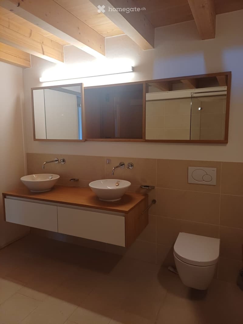 Modern bathroom with two sinks, a large mirror, a toilet, and built-in wooden cabinetry.
