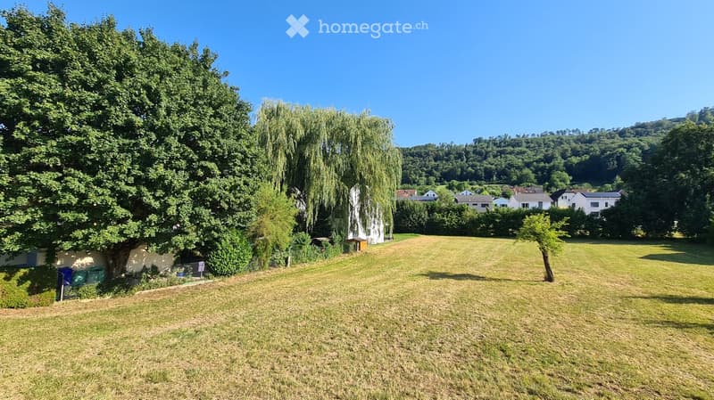 A spacious, well-maintained lawn with a few trees, including a weeping willow, and a small shed. The background shows a residential area with houses and greenery under a clear blue sky.
