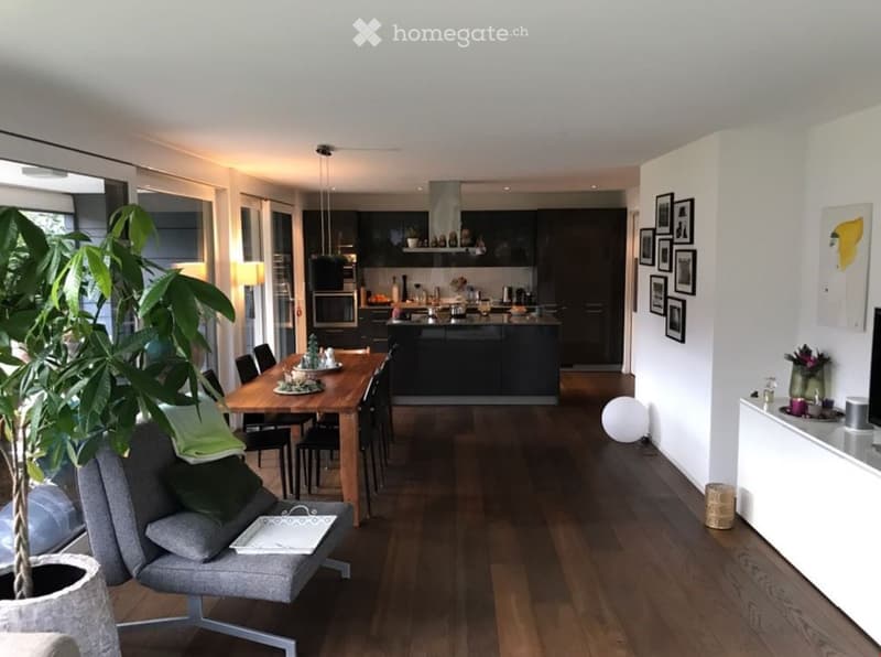 Open-plan living and dining area with a grey sofa, wooden dining table, kitchen area with dark cabinets, and various decorative items including a large potted plant and picture frames.