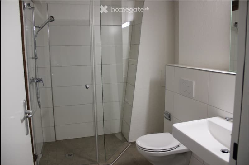 Modern bathroom with a glass-enclosed shower, toilet, and sink. The shower features a handheld sprayer and a fixed overhead sprayer. The sink has a modern faucet and is mounted on a countertop.