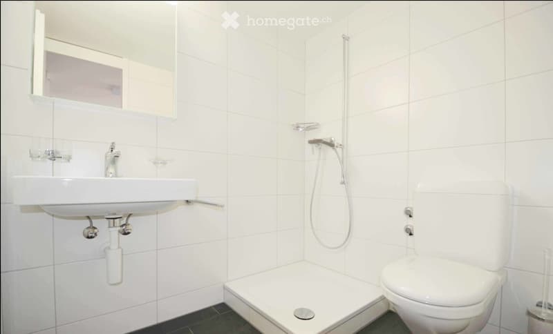 Modern bathroom with white tiles, a sink, toilet, and shower area. Features a built-in mirror and a glass shelf above the sink.