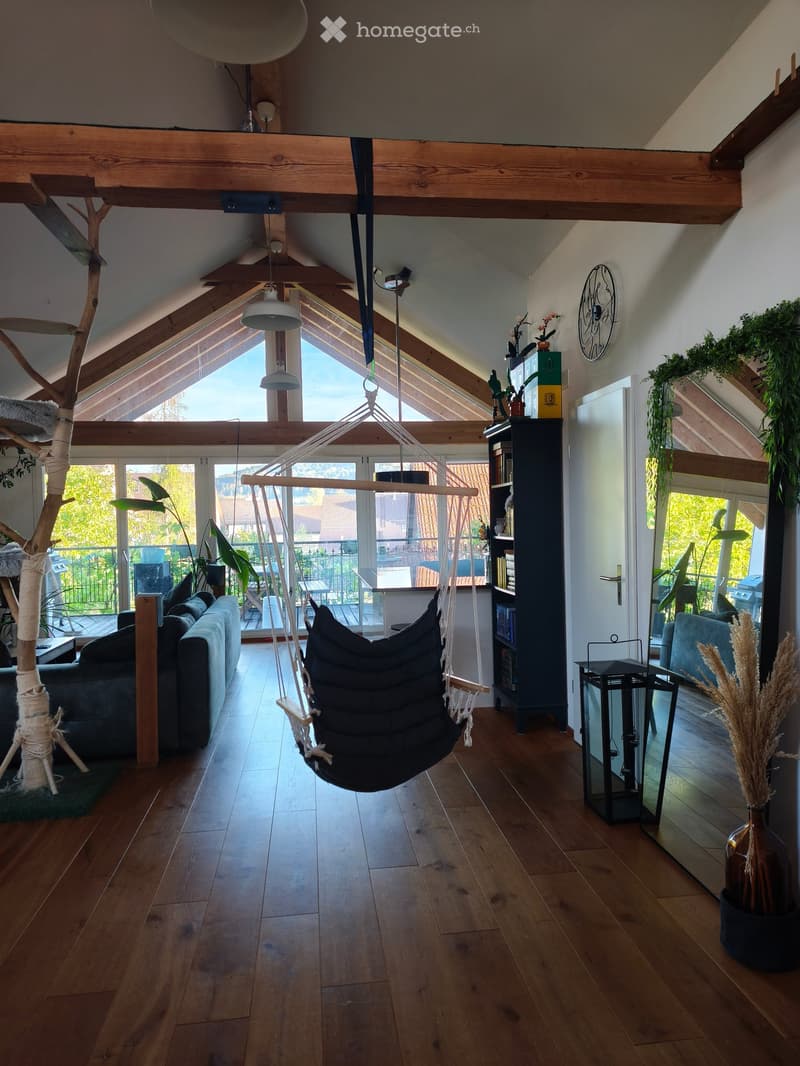 Bright living room with wooden floors, exposed wooden beams, large windows, a hanging hamac, a cat tree, a sofa, a bookshelf, and decorative plants.