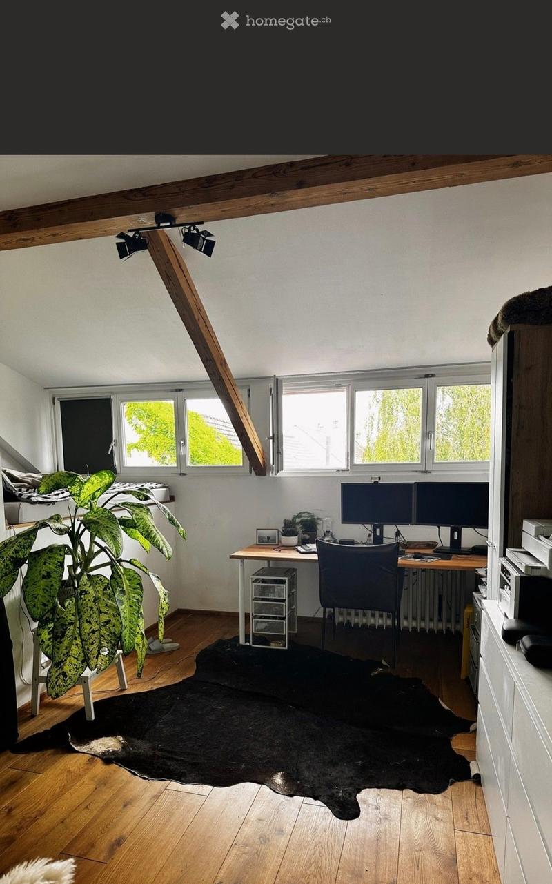 Bright attic room with wooden floors, large windows, a desk with dual monitors, a black leather rug, and a large leafy plant. Exposed wooden beams and track lighting are visible.