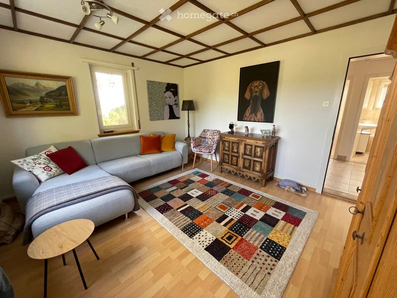 Living room with a grey sectional sofa, colorful cushions, a patterned rug, a wooden side table, a patterned armchair, and a wooden cabinet with decorative items on top.