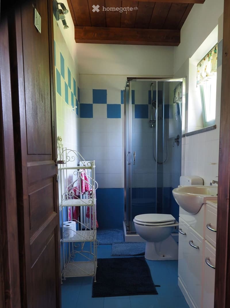 Cozy bathroom with blue and white checkered tiles, a glass-enclosed shower, a toilet, a sink with a cabinet, and a towel rack with towels and toilet paper.