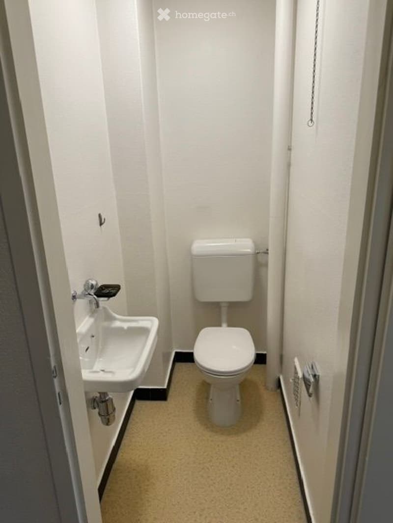 Small, clean bathroom with white walls, a toilet, and a sink. The floor is covered with light-colored carpeting.