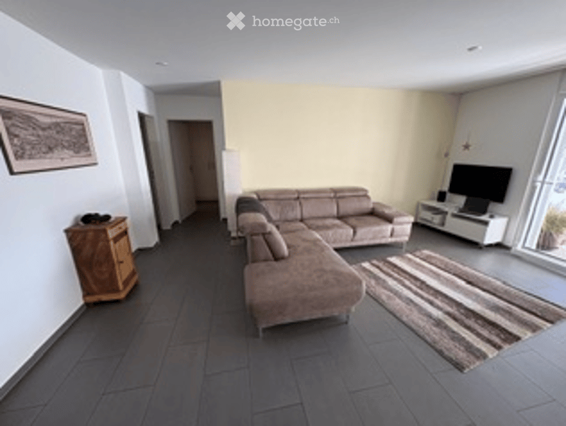 Modern living room with large windows, grey sectional sofa, coffee table, TV stand, side table, and area rug.