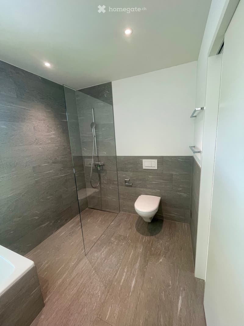 Bathroom. Modern bathroom with wooden flooring, a glass-enclosed shower, a toilet, and a bathtub, featuring sleek dark grey tiles and white walls.