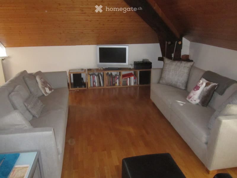 Living room with wooden flooring, two sofas, an ottoman, a television, and a bookcase.